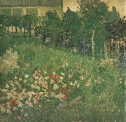 Vincent Van Gogh Daubigny's Garden (nn04) oil painting reproduction